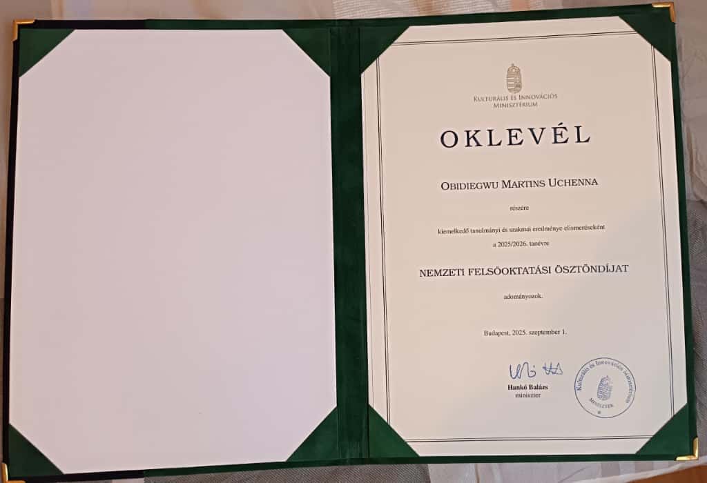 Martins Uchenna Obidiegwu